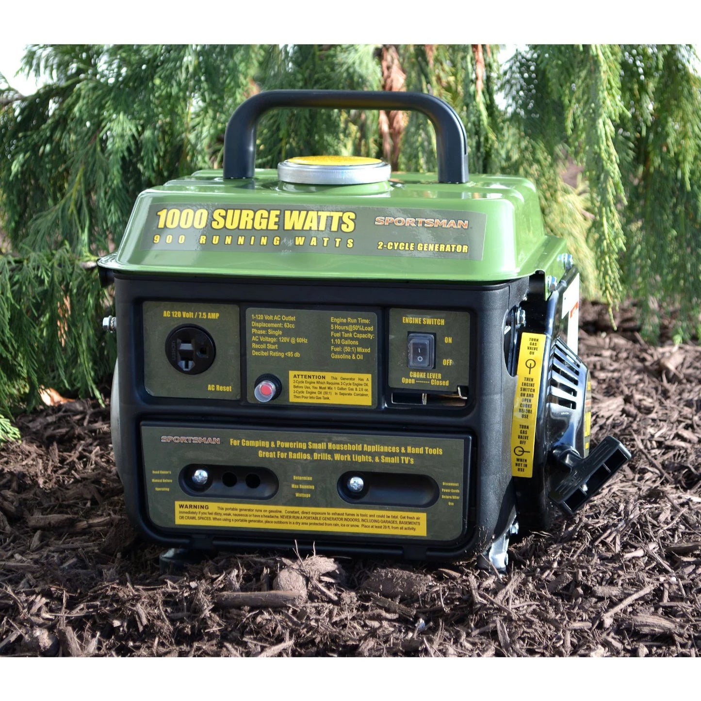 s Series 1000-Watt 2-Cycle Generator